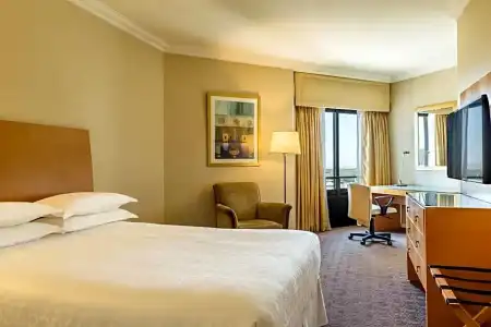 Sheraton Buenos Aires & Convention Center - 77