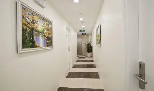 DLmos Hanoi - 11