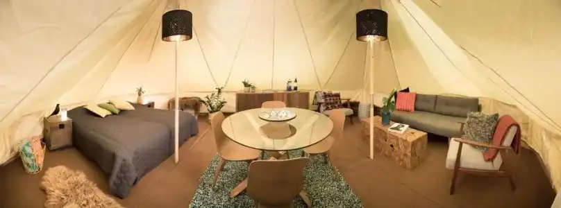 Camp Boutique - 50