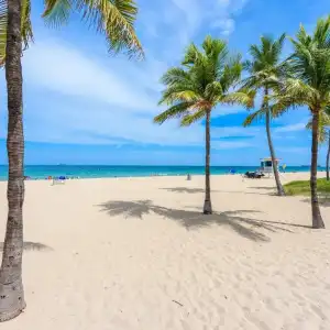 Sky Islands - 8