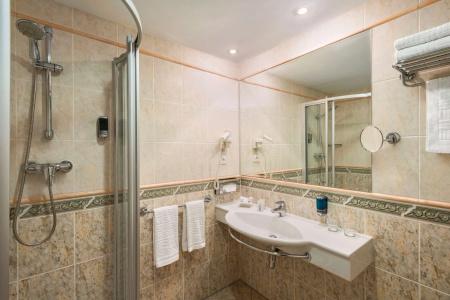 Ramada by Wyndham Prague City Centre - 8