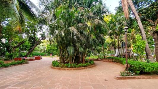 Garden - 11