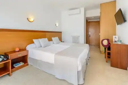 Vibra Palma Cactus - 37