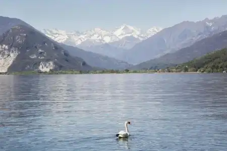 Belvedere San Gottardo by Lvg Collection - 15