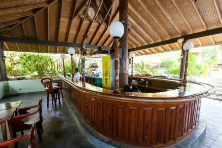 Tropical - 8