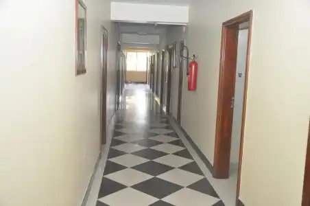 Iris - 15
