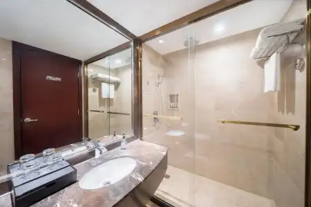 Wuhan Hongguang - 7