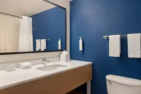 Spark by Hilton Orlando Universal Blvd - 44
