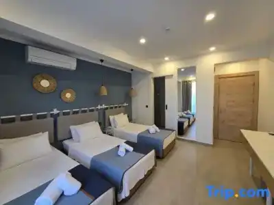 Park Rooms & Apart - 104
