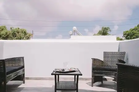 Oasis - 8