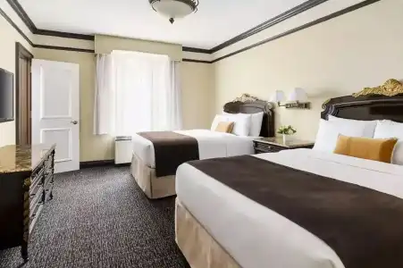 The Lucerne - 28