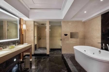 Ramses Hilton - 117