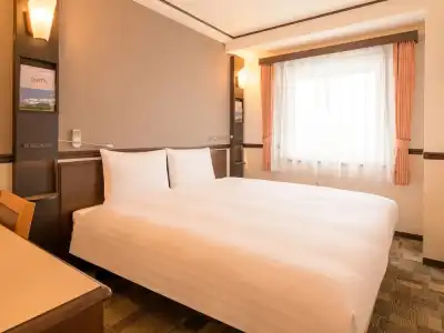 Toyoko Inn Hon Atsugi Station Minami - 56