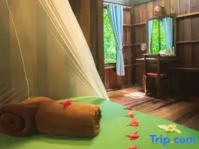 Khao Sok Riverside Cottage - 115