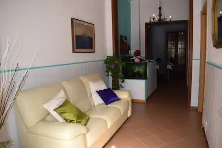 Canarco - 20