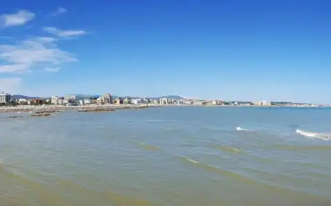 Gabbiano - 22