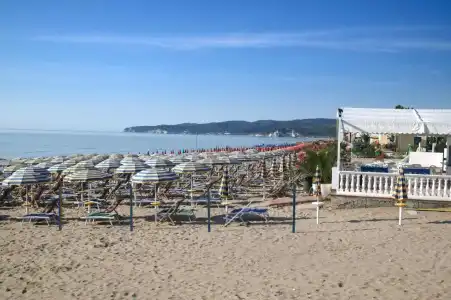 Falcone - 14
