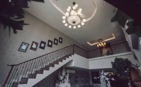 Club Tree - 11