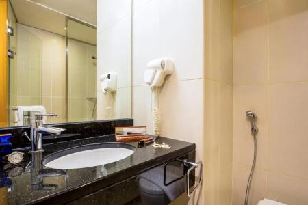ibis Mall Avenue Dubai - 53