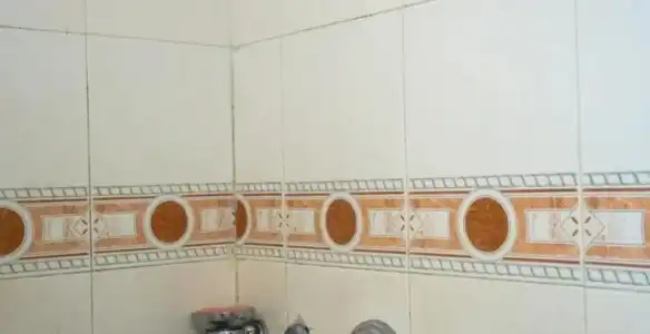 Nandhini R.T.Nagar - 8