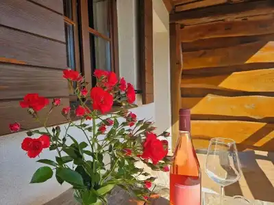 Plitvica Lodge - 30