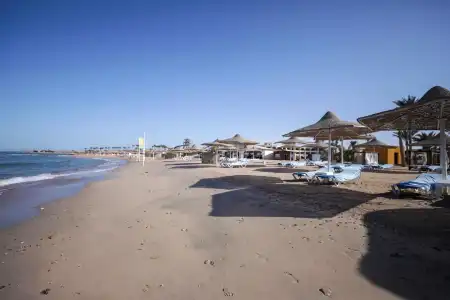 Calimera Blend Paradise - 33