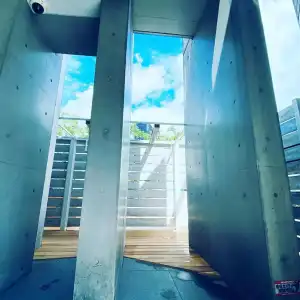 Flex - 6