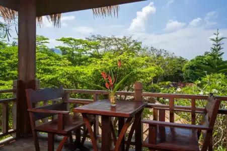 Palm Leaf Resort - 20