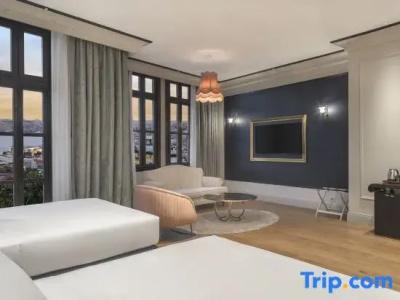 Palazzo Donizetti Istanbul, Tapestry Collection by Hilton - 52