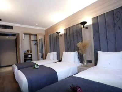 Mineo Taksim - 29