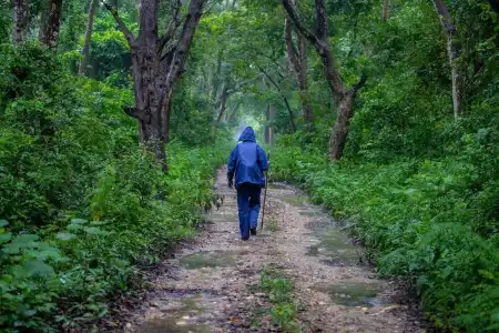 Oyo 643 Samarth Bardiya Adventure Resort - 6