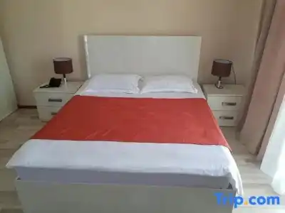 Old Tsereteli - 20