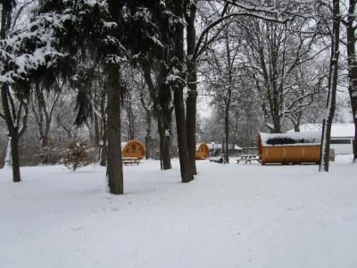 Azur Waldcamping Auwaldsee - 21
