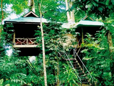 Khao Sok Nature Resort - 10