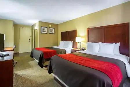 Comfort Inn Cleveland Downtown - 29