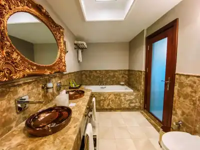 DoubleTree by Hilton Van - 43