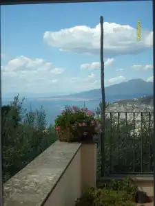 Gli Ulivi Agriturismo - 86