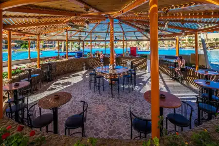 Desert Rose Resort - 31