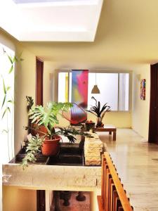 Casa Roa - 7