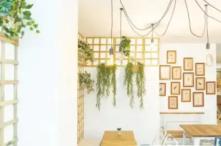 Picnic Dreams Boutique Hostel - 13
