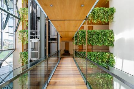 ALEGRIA Caprici Verd - 24