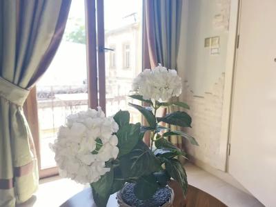 Sofia Boutique 9 - 81