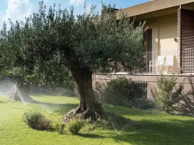 Rocca dei Saraceni - 18