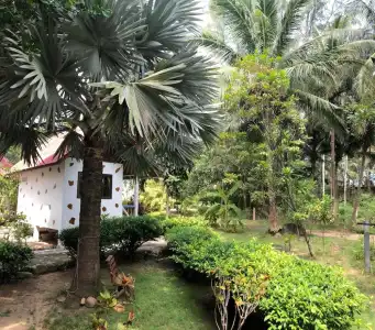 Haad Khuad Resort - 142
