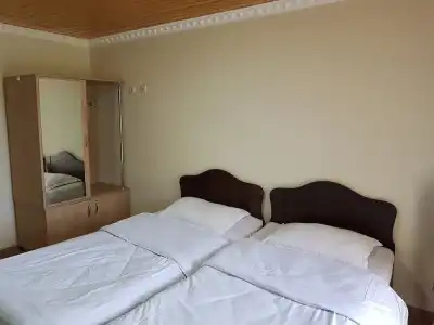 Teo Guesthouse and Camping in Mestia - 3