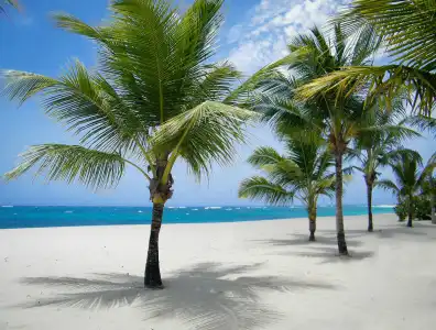 Viva Heavens by Wyndham, A Trademark All Inclusive - 37