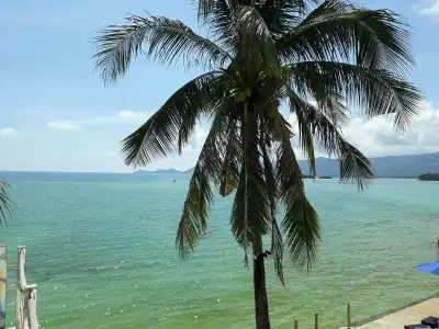 Papillon Resort - 28