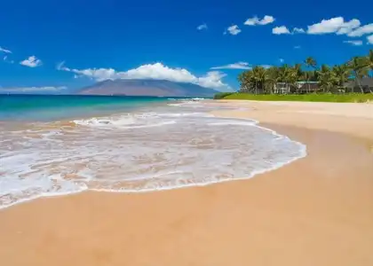 Palms At Wailea by Vacation Rental Pros - 14