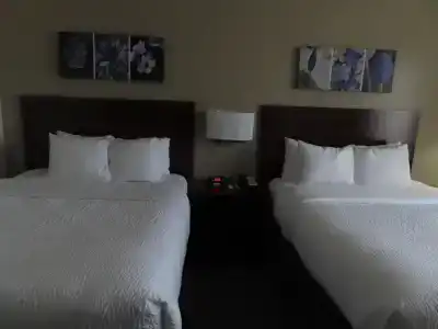 Sleep Inn & Suites Denver International Airport - 21