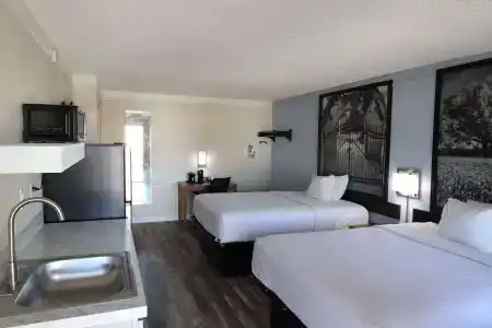 Super 8 by Wyndham Austin South / I-35 - 5